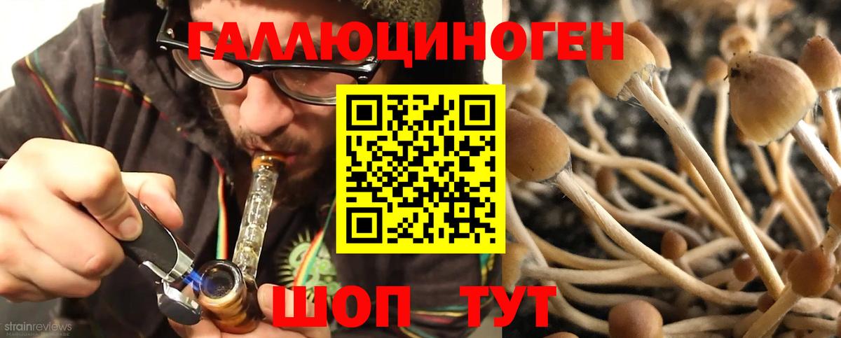 Галлюциногенные грибы Magic Shrooms Барнаул